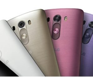 LG G3 Burgundy Red and Moon Violet